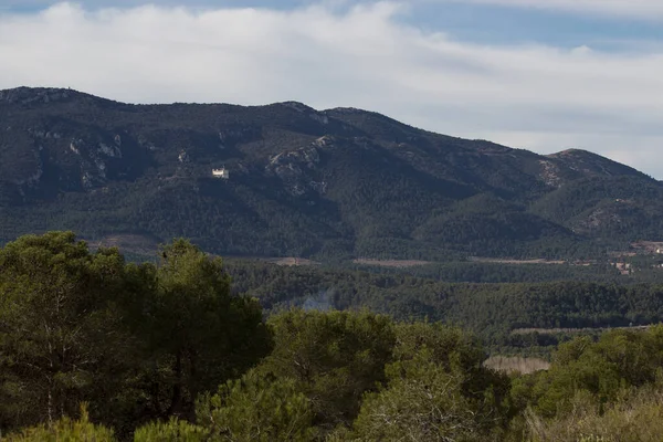 Krajobraz Parku Przyrody Czerwonej Fontanny Sosnami Pierwszym Planie Alcoy Hiszpania — Zdjęcie stockowe