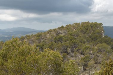 Alcoy, İspanya 'daki Alt de les Pedreres' in bulut ve katmanlarıyla çam ormanı manzarası