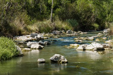 Srpis nehrinin yatağında kayalar, L 'orxa, İspanya