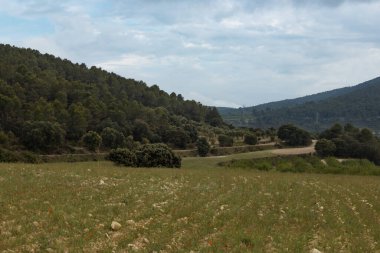 İspanya, Sarga de Alcoy 'da dağlar ve bulutlar arasındaki ekin tarlası