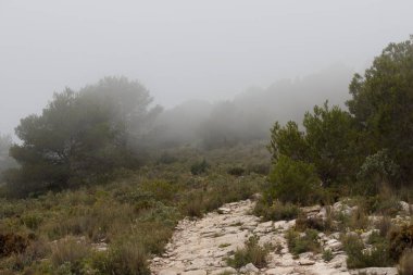 Alt de les Pedreres de Alcoy yolu ile manzara sabah sisli, İspanya