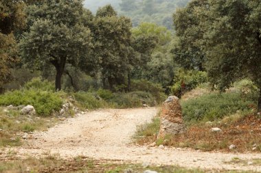 İspanya 'nın Alcoi kentindeki San Antonio ormanlarının yolu.