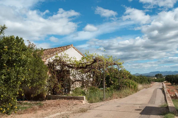 Sellent, İspanya 'da terk edilmiş kışlaları olan portakal bahçeleri.