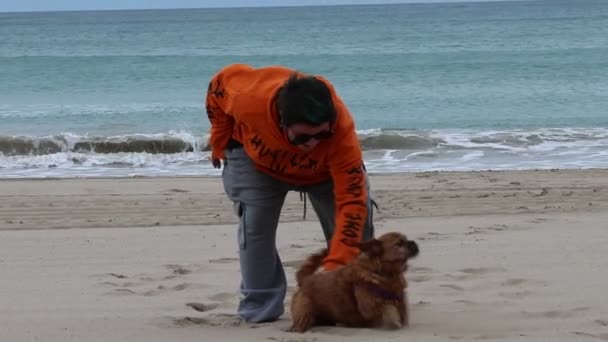 Giovane Donna Che Gioca Con Cane Nami Nella Sabbia San — Video Stock