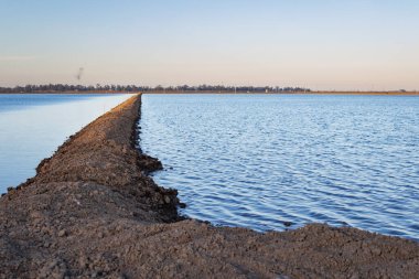 İspanya, Ebro delta 'da ayrıştırıcı marjlı pirinç tarlası ve gün batımı gökyüzü
