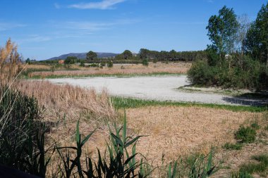 Extreme drought in the Comunidad Valenciana, Gayanes lagoon wetland without water, Spain clipart