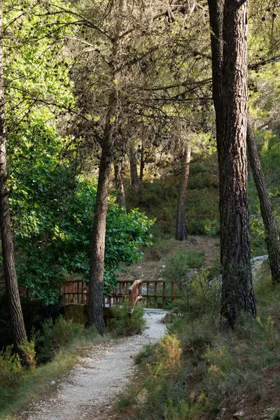 Sierra de Mariola doğal parkındaki Font del Hortet del Pobre köprüsü yolu, Alcoy, İspanya