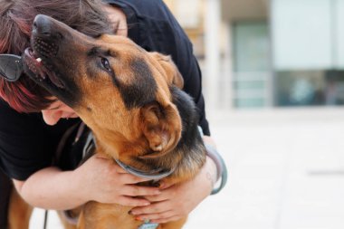 İnsan ve köpek arasında şefkatli bir kucaklaşma, Alcoy, İspanya