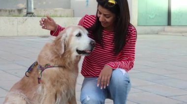 11 yaşındaki Golden Retriever Venezuela 'dan İspanya' ya gitti ve sahibi Alcoy ile parkta oynadı.