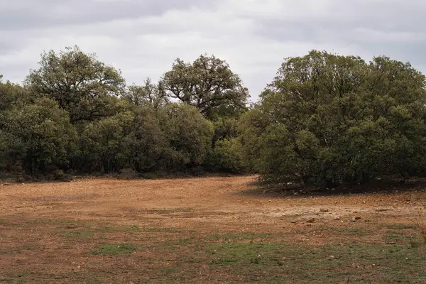 İspanya, Alcoy 'daki Fuente Roja doğal parkında açıklık