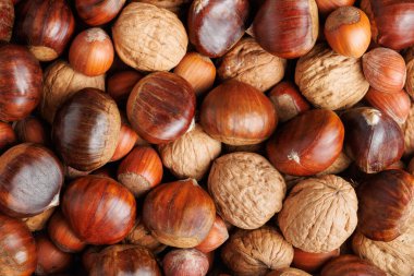 Sağlığa faydaları olan çeşitli tipik Noel yemekleri grubu