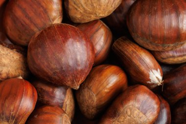 Çiğ ve derili kestane, tipik bir Noel tatili sonbahar yemeği.