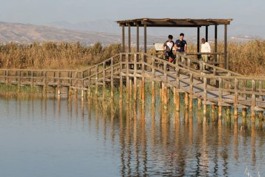 El Hondo Doğal Parkı 'ndaki manzara insanların bir makarası, Elche, İspanya