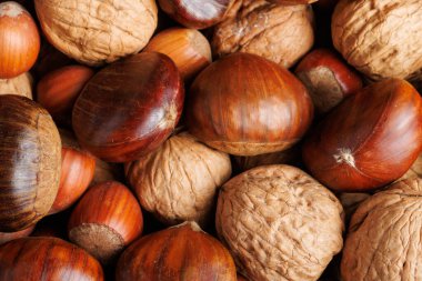 Bir grup kestane, ceviz ve fındık, karışık fındık.