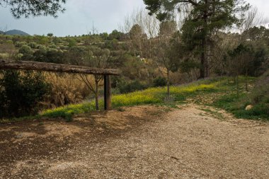 Yağmurdan sonra Benilloba, İspanya 'daki Salt del Moli rotasında ıslak patika