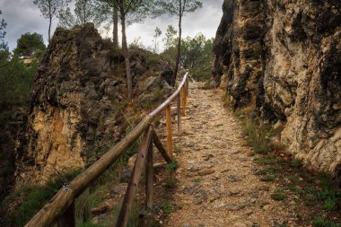 Yağmurdan sonra Benilloba, İspanya 'daki Salt del Moli rotasında ıslak patika