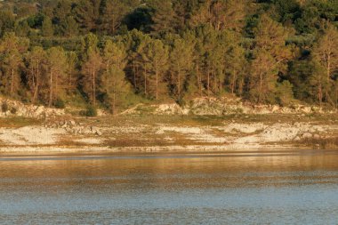 Serpis Nehri üzerinde sakin bir öğleden sonra manzarası ve arka planda bir çam ormanı, Beniarres, İspanya