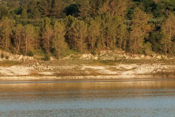 Serpis Nehri üzerinde sakin bir öğleden sonra manzarası ve arka planda bir çam ormanı, Beniarres, İspanya
