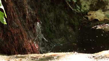 Duvarında yosun olan düşen suyun arka planı, Alcoy, İspanya