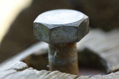 Alcoy, İspanya 'da tahta bir kütüğün üzerindeki paslı uğursuz baş.