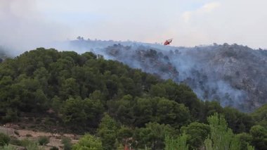 Temmuz 2025 'te Font Roja Doğal Park orman yangınında elinde Bambi kovası olan tanınmayan bir helikopter yangına yaklaşıyor..