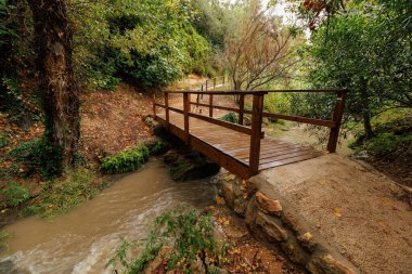 Navarres, İspanya 'daki şelale patikasındaki tahta köprü.
