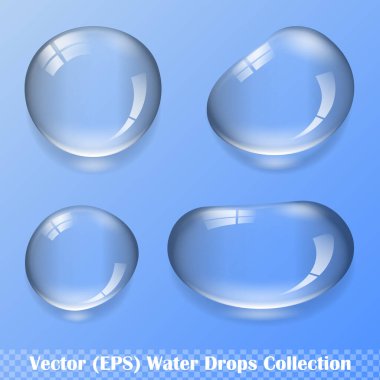 Şeffaf arkaplan üzerinde yansıma ve gölge, izole vektör (EPS) çizimi ile gerçekçi su damlaları