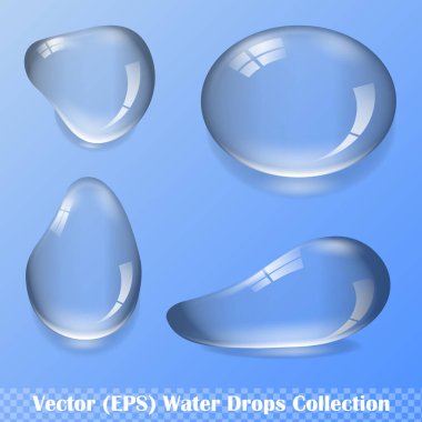 Şeffaf arkaplan üzerinde yansıma ve gölge, izole vektör (EPS) çizimi ile gerçekçi su damlaları