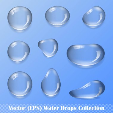 Şeffaf arkaplan üzerinde yansıma ve gölge, izole vektör (EPS) çizimi ile gerçekçi su damlaları