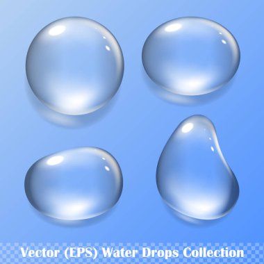 Şeffaf arkaplan üzerinde yansıma ve gölge, izole vektör (EPS) çizimi ile gerçekçi su damlaları