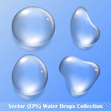 Şeffaf arkaplan üzerinde yansıma ve gölge, izole vektör (EPS) çizimi ile gerçekçi su damlaları