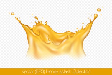 Şeffaf arka plan, vektör (EPS) illüstrasyonunda izole edilmiş damlacıklarla gerçekçi taç şeklinde bal sıçraması. Şeffaf altın sıvı donmuş hareket çizimi, katmanlı.