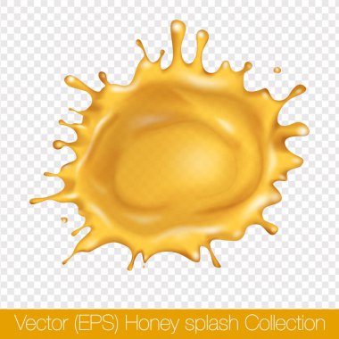 Şeffaf arka plan, vektör (EPS) illüstrasyonunda izole edilmiş damlacıkları olan gerçekçi yuvarlak bal sıçraması. Şeffaf altın sıvı donmuş hareket çizimi, katmanlı, düzenlenmesi kolay