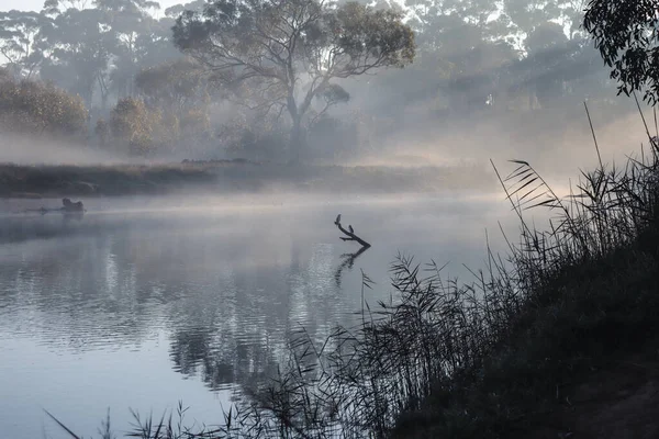 Ochtendmist Werribee River Australië — Stockfoto