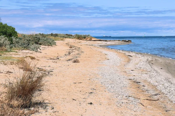 Kum ve deniz manzaralı sahil manzarası