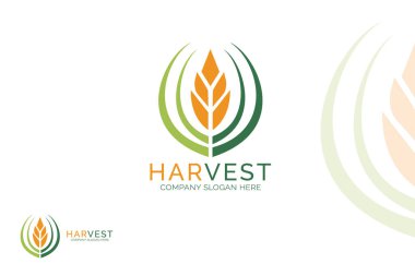 Markanız için yaprak tarımı logo tasarımı şablonu