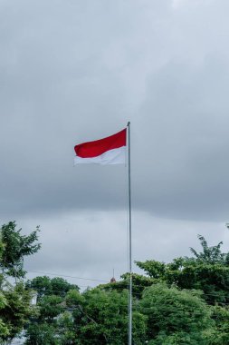 Bu resim Endonezya 'nın görkemli bayrağı Merah Putih' i yakalıyor, en uzun bayrak direğinin üzerinde gururla dalgalanırken, dramatik bir bulutlu arka plan üzerine kurulmuş.