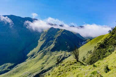Merbabu Dağı 'nın tepesindeki kaldera kümesinin manzarası, üzerindeki sis bulutlarıyla çok güzel ve olağanüstü görünüyor.