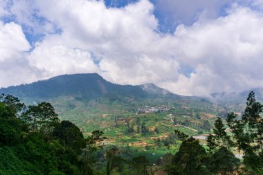 Uçsuz bucaksız tarlalar, göksel bulutlar tarafından kucaklanan yemyeşil dağ yamaçlarından aşağı süzülür. Seyahat, doğa ve manzara fotoğrafçılığı projeleri için mükemmel..