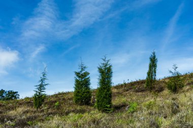 Prau Dağı 'nın ovasının nefes kesici manzarası, altın renklerin kayan tepelerle buluştuğu yer. Bu dingin manzara doğanın güzelliğini yansıtıyor, seyahat, macera ve manzaralı görseller için mükemmel.