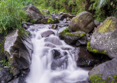 Pürüzsüz, ipeksi su ile nehir akıntısı ve canlı yeşil bitkiler Permadi Guci, Tegal 'de yavaş bir deklanşör hızıyla yakalanır.