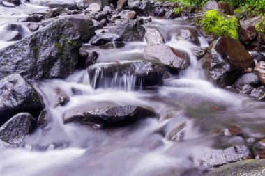 Pürüzsüz, ipeksi su ile nehir akıntısı ve canlı yeşil bitkiler Permadi Guci, Tegal 'de yavaş bir deklanşör hızıyla yakalanır.