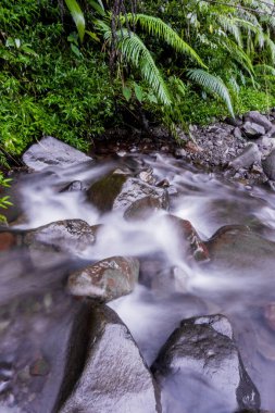 Pürüzsüz, ipeksi su ile nehir akıntısı ve canlı yeşil bitkiler Permadi Guci, Tegal 'de yavaş bir deklanşör hızıyla yakalanır.