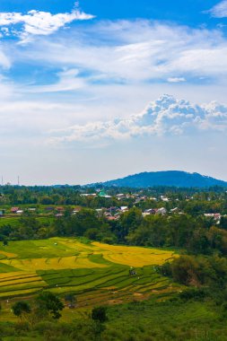 Bulutların çizdiği çarpıcı gökyüzünün altında nefes kesen pirinç tarlaları. Doğanın sanatının sakin bir manzarası