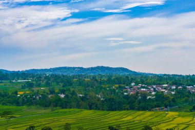 Bulutların çizdiği çarpıcı gökyüzünün altında nefes kesen pirinç tarlaları. Doğanın sanatının sakin bir manzarası