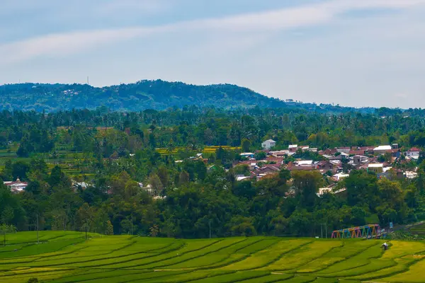 Altın ve yeşil pirinç terasları, doğanın sanatının nefes kesici bir manzarası olan yamaçlardan taşar. Seyahat, tarım ve manzara için mükemmel.
