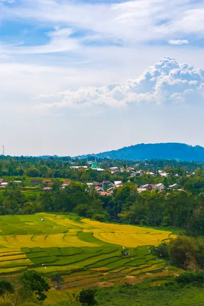 Bulutların çizdiği çarpıcı gökyüzünün altında nefes kesen pirinç tarlaları. Doğanın sanatının sakin bir manzarası