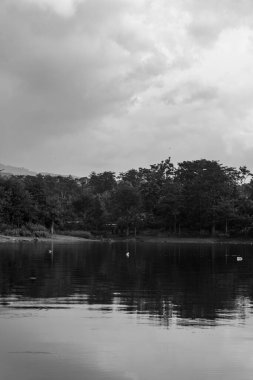 Büyüleyici bir siyah beyaz fotoğraf kasvetli, bulutlu bir gökyüzünün altında bir gölün huzurlu güzelliğini yakalıyor..