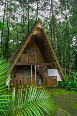 Çam ormanlarındaki ahşap bir kulübe, doğa ile çevrili huzurlu bir eko inziva, seyahat ve rahatlama için mükemmel..