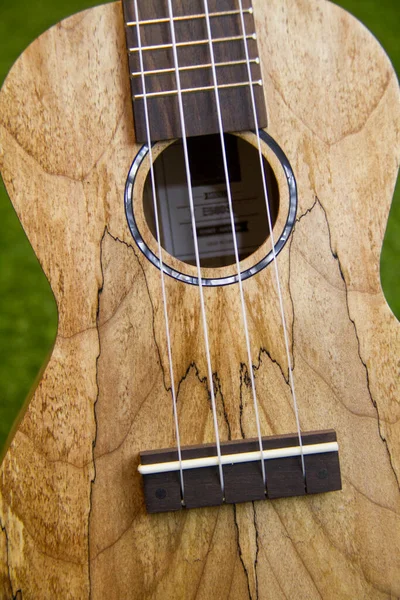 stock image Acoustic ukulele made of wood, resting on artificial grass